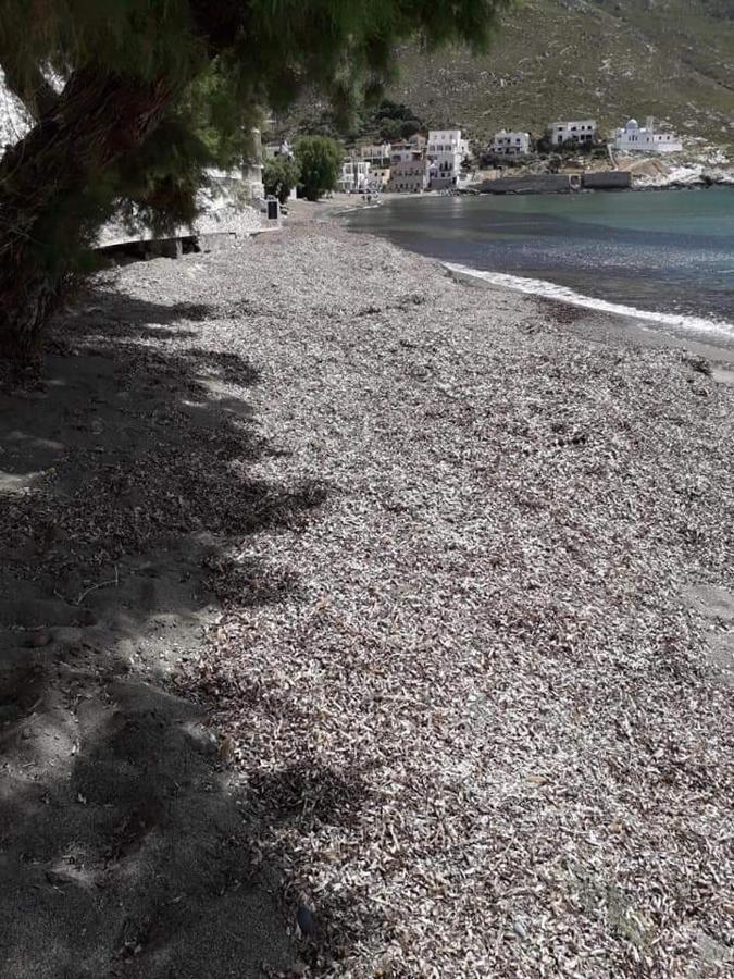 Kalymnos Beach House Panormos  外观 照片